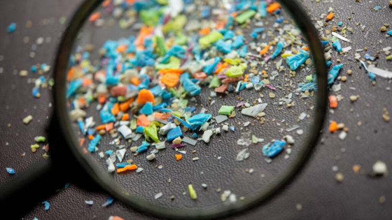 Microplastics In Daily Life logo